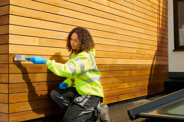 Best Stucco Siding  in Sebring, FL